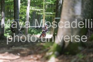 IMG_2534