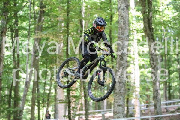IMG_2627