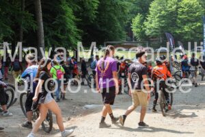 IMG_2650