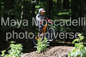 IMG_3994