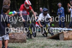 IMG_6041